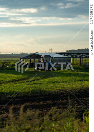 Blue tractor in the evening, at sunset after a hard day's work.A green field Blue tractor in the evening, at sunset after a hard day's work.A green field 117669178