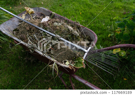 The garden wheelbarrow is completely filled with garden garbage. Dry grass 117669189
