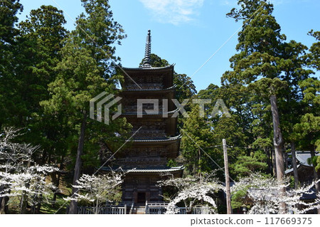 Zenpoji Five-storied Pagoda National Registered Tangible Cultural Property Zenpoji Five-storied Pagoda National Registered Tangible Cultural Property 117669375