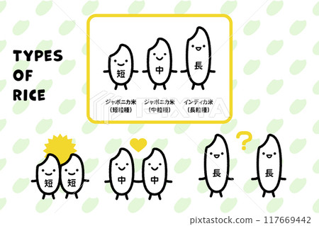稻米類型:短粒米、中粒米、長粒米 稻米類型:短粒米、中粒米、長粒米 117669442