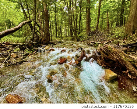 Small waterfall in the forest 117670156