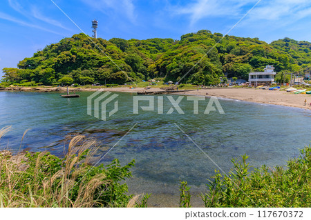 神奈川縣橫須賀市觀音崎公園海岸 神奈川縣橫須賀市觀音崎公園海岸 117670372