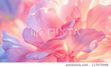 美麗的花瓣細節 10 美麗的花瓣細節 10 117670996