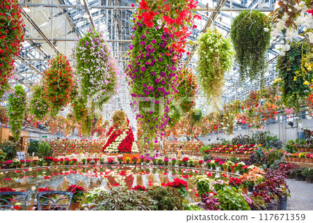 Nabana no Sato [Begonia Garden - Christmas Edition] 117671359