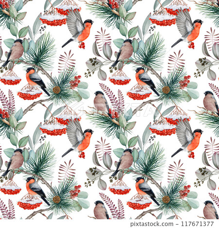Winter time bullfinch birds seamless pattern, natural elements, red berries snow covered. Watercolor illustration. Winter mood forest bullfinch bird, rowanberry, leaves design on white background Winter time bullfinch birds seamless pattern, natural elements, red berries snow covered. Watercolor illustration. Winter mood forest bullfinch bird, rowanberry, leaves design on white background 117671377