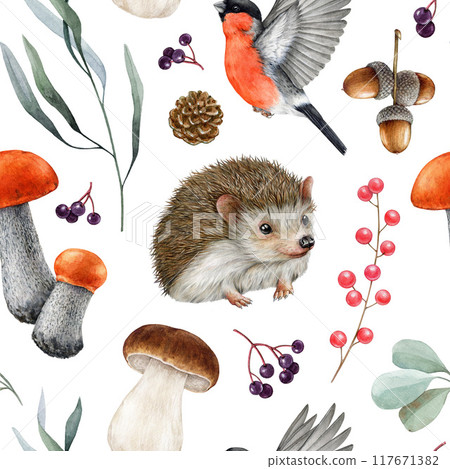 Cute hedgehog, forest nature elements seamless pattern. Watercolor illustration. Hand drawn forest animal, bird, mushrooms, leaves seamless pattern design for printing, wrapping on white background Cute hedgehog, forest nature elements seamless pattern. Watercolor illustration. Hand drawn forest animal, bird, mushrooms, leaves seamless pattern design for printing, wrapping on white background 117671382