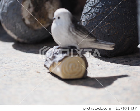 鳥類配件 鳥類配件 117671437