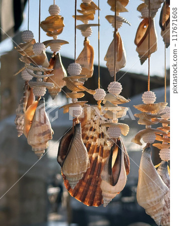 Mobile from Mediterranean shells Mobile from Mediterranean shells 117671608