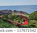 Scenery of a procession of torii gates 117672342