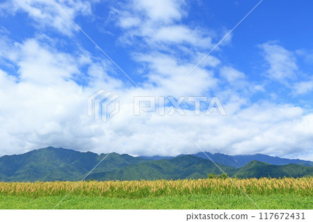 Azumino in early autumn 117672431