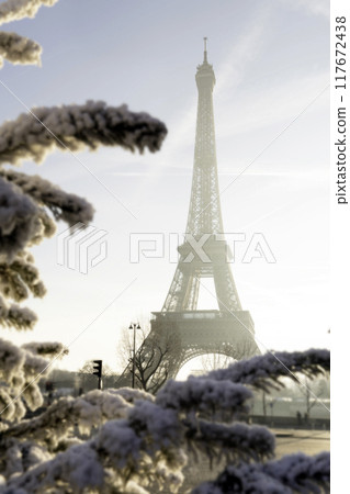 Beautiful view of famous Eiffel Tower in Paris, France. Paris Best Destinations in Europe. 117672438