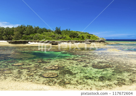Okinawa coast sea Okinawa coast sea 117672604
