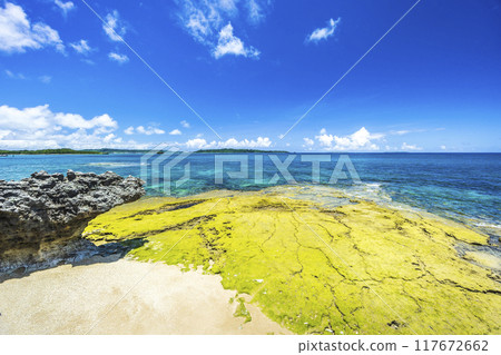 Okinawa coast sea 117672662
