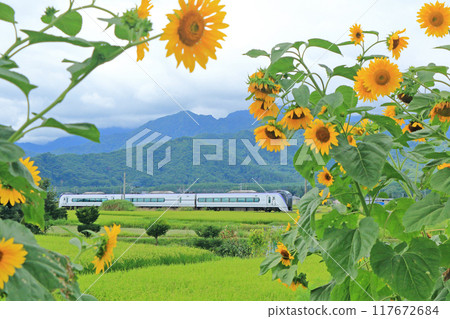 Summer Oito Line Limited Express Azusa 1 117672684