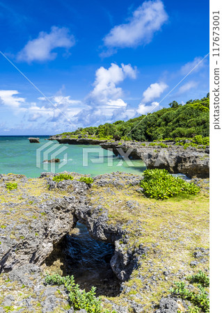 沖繩海天 117673001