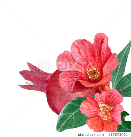 Pomegranate flowers, fruits and leaves vibrant watercolor card isolated on white. Hand drawn realistic vibrant design for tea packages, cards, restaurant menu, prints. Autumn plant clip art. Red 117673061