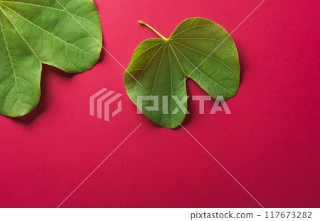 Happy Dussehra background concept made from green leaf on red paper background. Dussehra Indian Festival concept. Happy Dussehra background concept made from green leaf on red paper background. Dussehra Indian Festival concept. 117673282