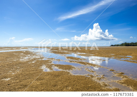 Okinawa sea sky Okinawa sea sky 117673381