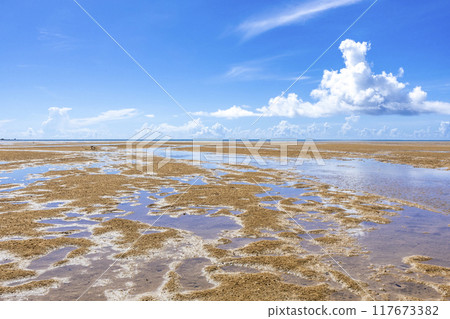 沖繩海天 沖繩海天 117673382