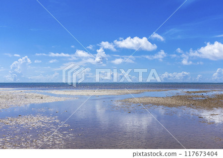 沖繩海天 117673404