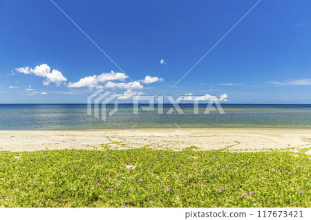 Okinawa sea sky 117673421