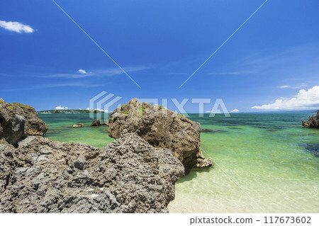 沖繩海天 沖繩海天 117673602