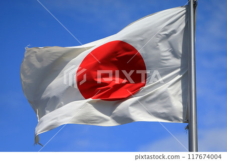 Flag of the Hinomaru winding in the wind 117674004