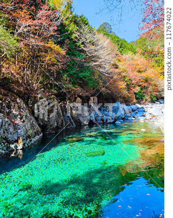 阿加尼亞山谷在秋天 阿加尼亞山谷在秋天 117674022