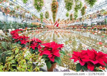 Nabana no Sato [Begonia Garden in Christmas Style] 117674103