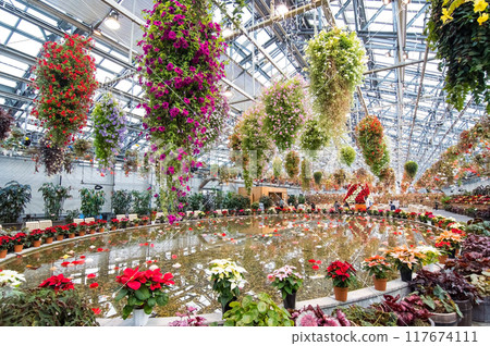 Nabana no Sato [Begonia Garden in Christmas Style] 117674111