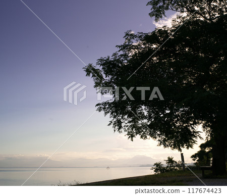 琵琶湖的那張長椅 琵琶湖的那張長椅 117674423