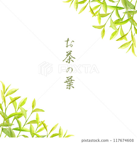茶葉框架畫水彩 117674608