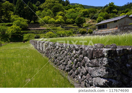 熊野古道，大門坂入口附近 117674690