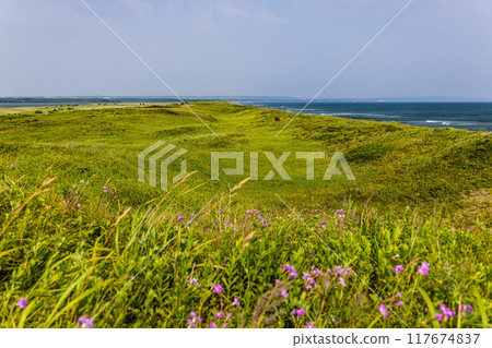 [北海道_小清水原始花園] 網走國定公園 小清水原始花園 117674837