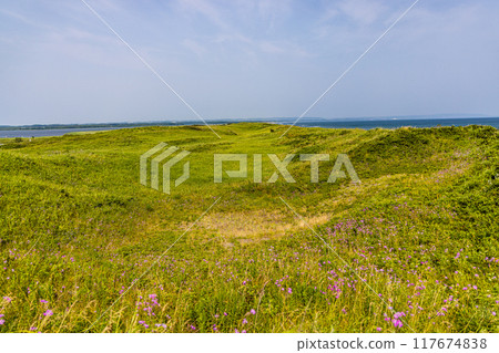 [北海道_小清水原始花園] 網走國定公園 小清水原始花園 117674838