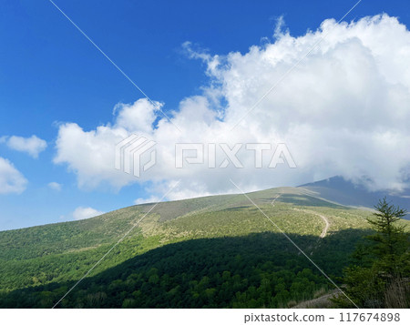 Mountain view from the hiking trail 117674898