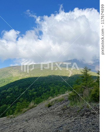 Mountain view from the hiking trail 117674899