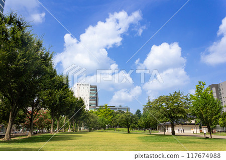 Nagano Shiki no Mori Park 117674988