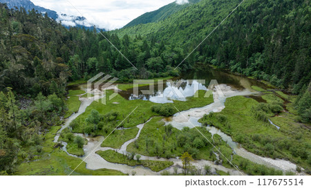 Beautiful forest landscape in Sichuan,China 117675514