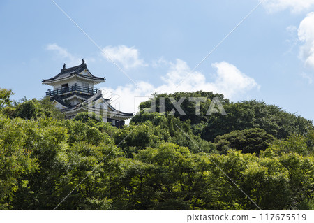 Blue sky and Hamamatsu castle 117675519