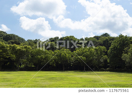 Hamamatsu Castle Park in summer 117675561