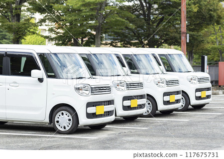 Small cars lined up in a parking lot 117675731