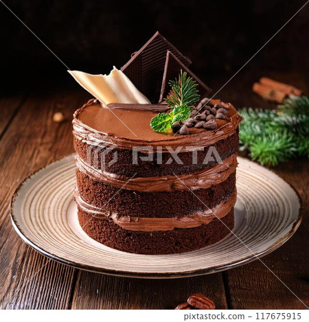 Delicious looking chocolate layer cake 117675915