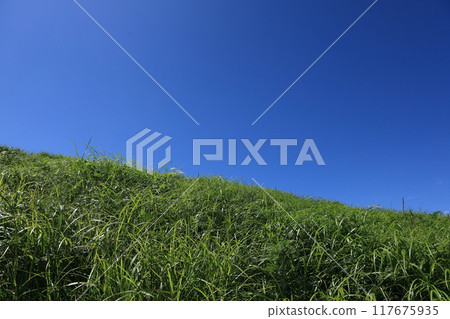 Oishi Plateau in August Oishi Plateau in August 117675935