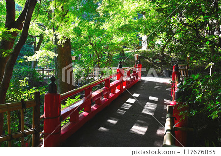 View of Chinzanso 117676035