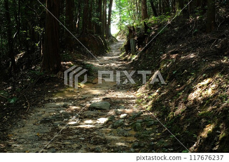 The Yamanobe trail from Ogami Shrine to Hibara Shrine 117676237