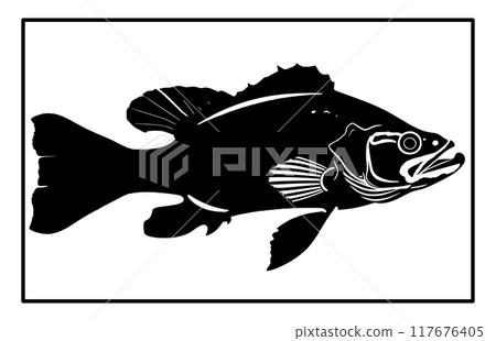River Haddock fish silhouette. Fish Haddock Hand drawn illustration , River Haddock 117676405