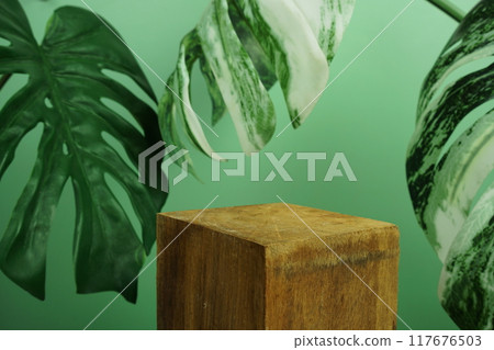Wooden podium display scene stage showcase front view with copy space and monstera leaves decoration on green background Wooden podium display scene stage showcase front view with copy space and monstera leaves decoration on green background 117676503