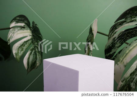 White podium display scene stage showcase front view with copy space and monstera leaves decoration on green background 117676504