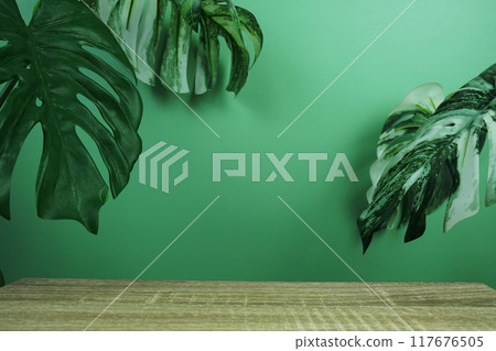 Wooden podium display scene stage showcase front view with copy space and monstera leaves decoration on green background Wooden podium display scene stage showcase front view with copy space and monstera leaves decoration on green background 117676505